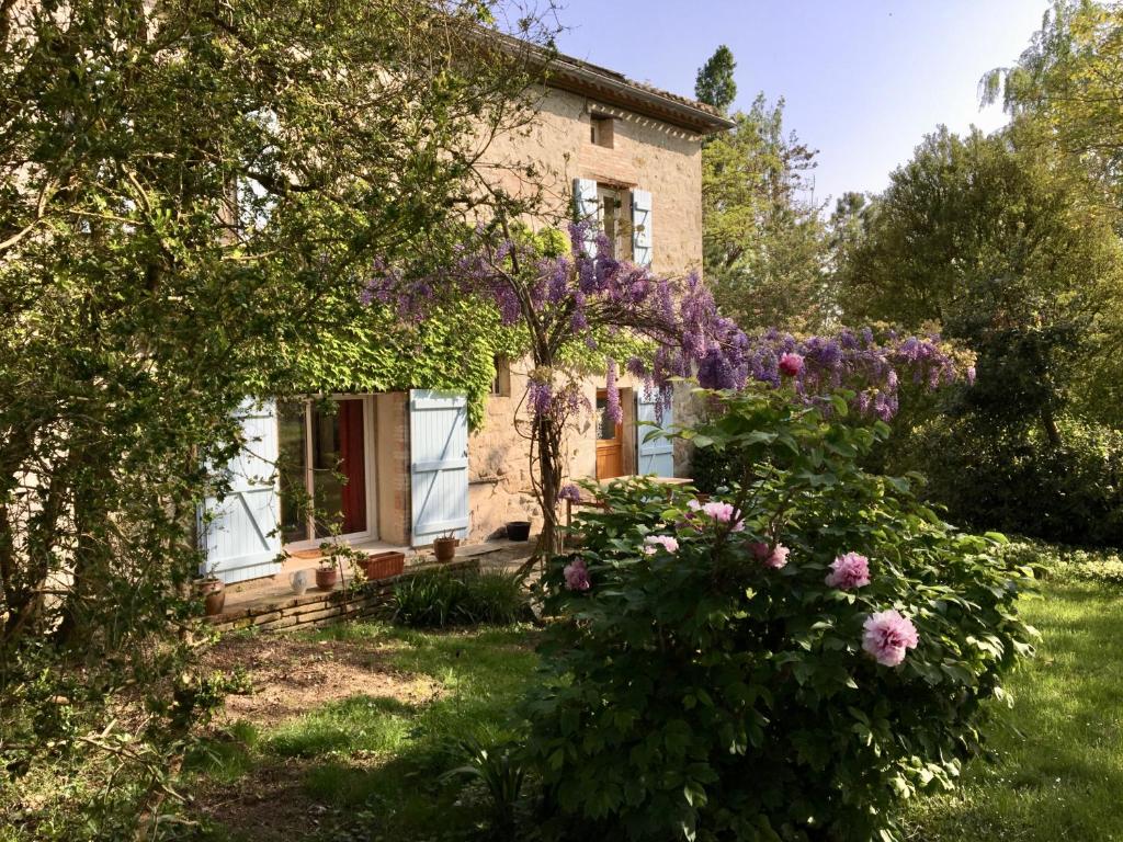 B&B / Chambre d'hôtes Château de Cartou Lieu-dit Cartou, 82390 Durfort