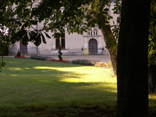 Château de la Court d'Aron Saint-Cyr-en-Talmondais france