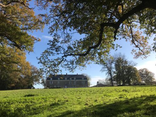 Chateau De Piedouault Jallais france