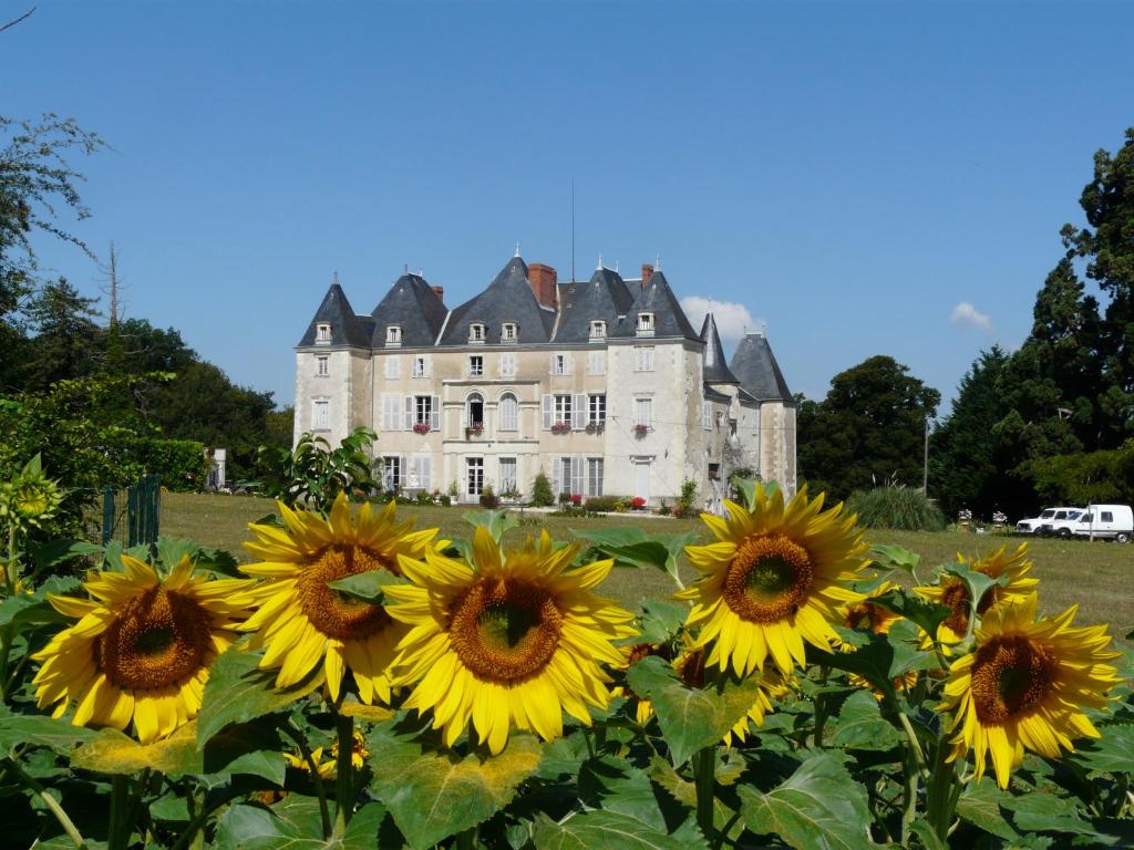 B&B / Chambre d'hôtes Château de Piolant LIEU DIT PIOLANT, 86220 Dangé