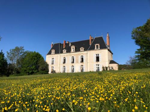 B&B / Chambre d'hôtes Château de Vaux Château de Vaux Blondeaux