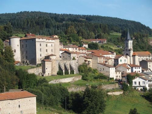 Maisons de vacances Château des Marcilly Talaru Le Bourg Chalmazel