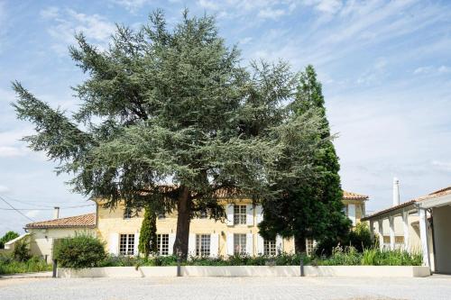 Château Haut-Brisson Vignonet france