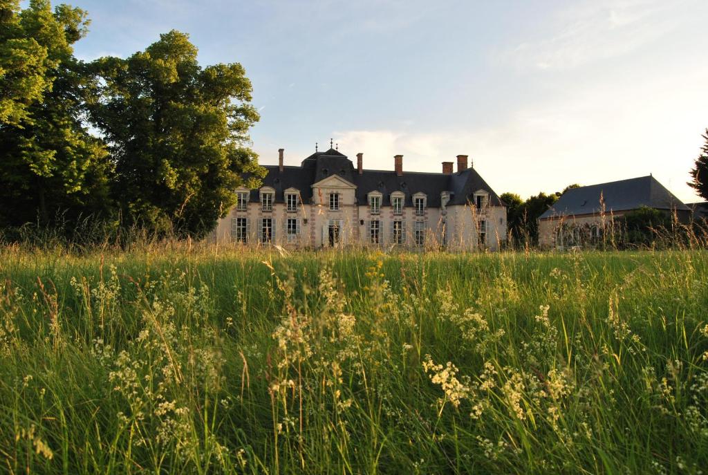 B&B / Chambre d'hôtes Chateau La Touanne Loire valley La Touanne, 45130 Baccon