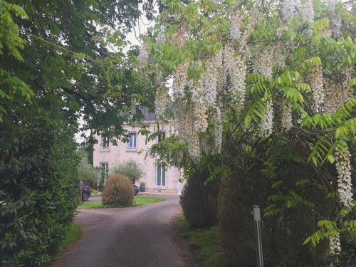 B&B / Chambre d'hôtes Château Ollé Laprune Domaine Ollé Laprune 15 IMPASSE D OLY Jurançon