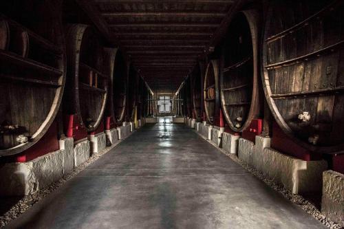 Maison d'hôtes Chateau Pech-Céleyran Château Pech-Céleyran - Lieu dit Le Pech Salles-dʼAude