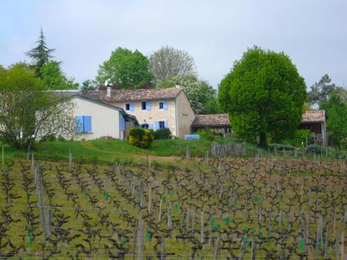 Appartement Château Régaldo-Saint Blancard 55 Avenue des Vignes Salleboeuf