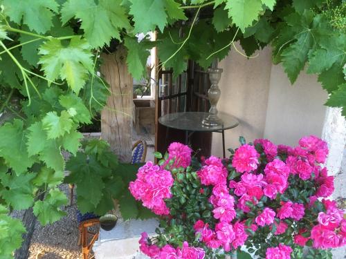 B&B / Chambre d'hôtes Chez Alice,simplicité et petite piscine Le Fau Mirandol-Bourgnounac