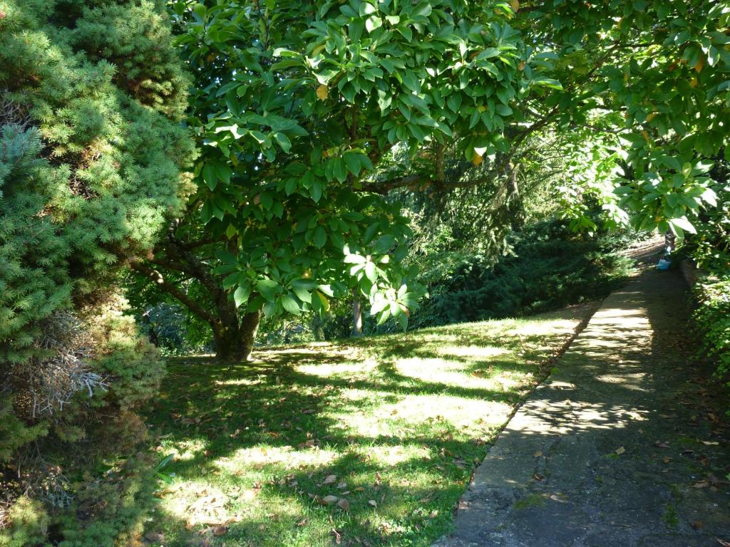 Séjour chez l'habitant Chez Aude 30 Rue du Mal Foch, 67140 Andlau