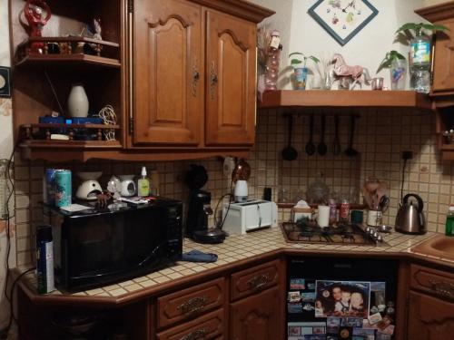 Séjour chez l'habitant chez beatrice 46 Rue des Petits Clos Selles-sur-Cher