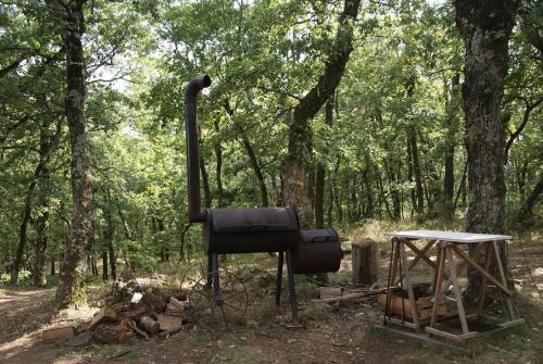 Chez Buddy - cabane de trappeur Peaugres france