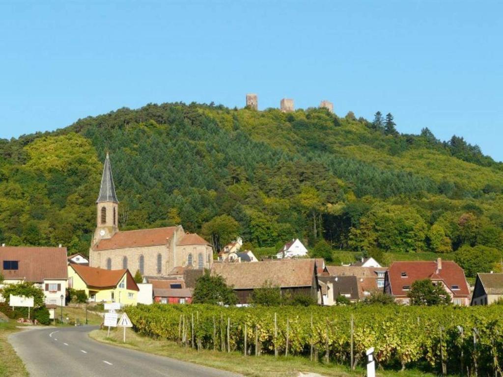 Séjour chez l'habitant Chez Christian 28 Rue Principale, 68420 Husseren-les-Châteaux