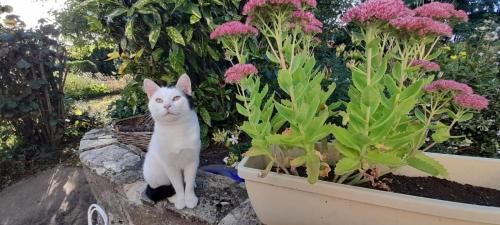 Chez Faby and Sand Faulquemont france