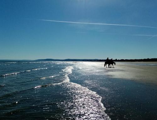 B&B / Chambre d'hôtes Chez Gigi 92 92 ROUTE DE CABOURG Merville-Franceville-Plage