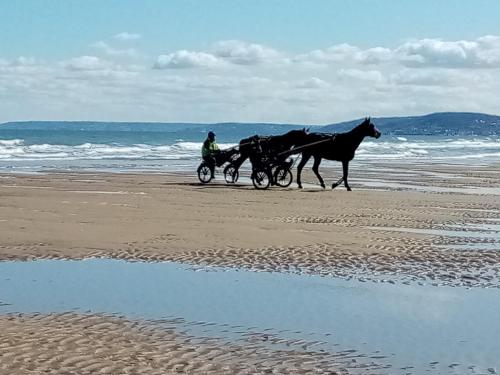 Chez Gigi Merville-Franceville-Plage france