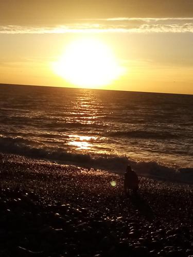 Chez Maniche Cayeux-sur-Mer france