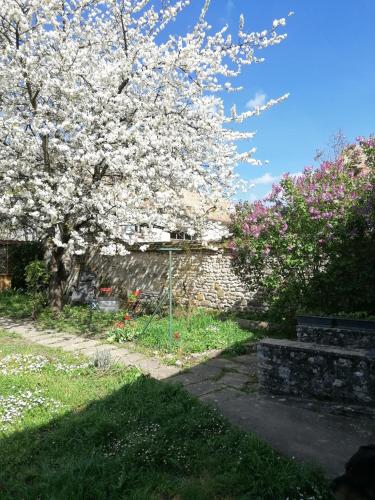 Appartement Chez Mary 17 Rue Saint-Spire Soisy-sur-École
