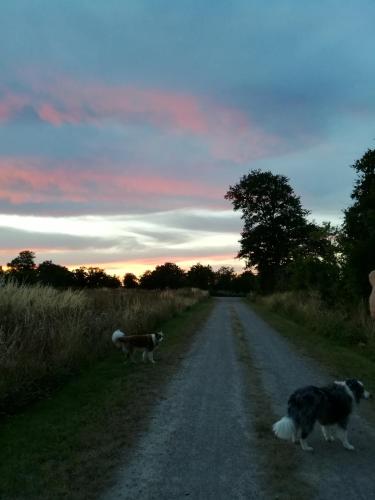 B&B / Chambre d'hôtes Chez Pastuso 4 Bonnevaux Brigueil-le-Chantre