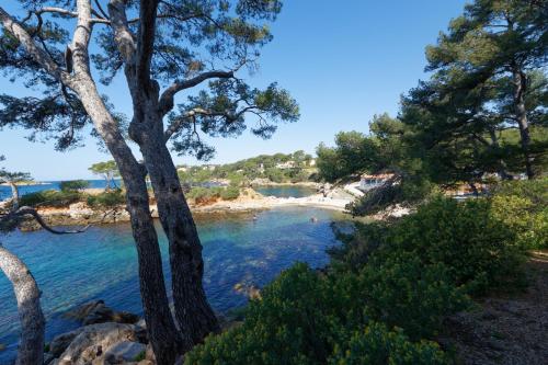 Chez Régine et Serge Bandol france