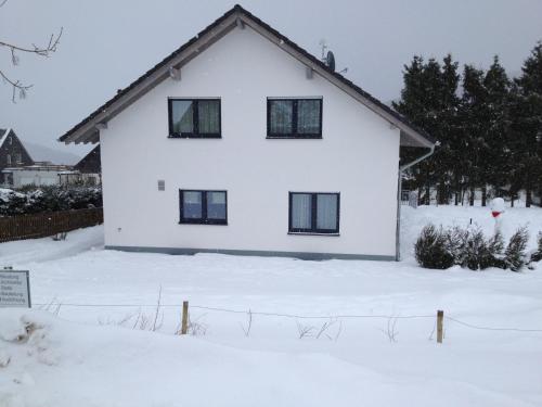 Chic Holiday Home in Medebach Germany near Ski Area Medebach allemagne