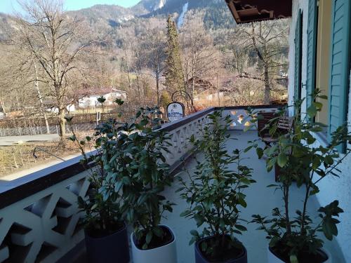 Appartement ciao-aschau Haus Burg HB Ap108 Weber Kampenwandstraße 94 Aschau