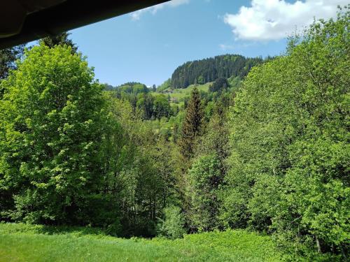 Appartement ciao-aschau Sachrang Feriendorf SFD FeWo 110 Alpen Hidaway Karspitzweg 24 Aschau