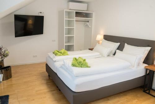 Appartement City Apartments FN L8 KLIMATISIERT 19 Möttelistraße Friedrichshafen