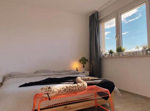 Appartement City Center + beautiful View - 1 bedroom flat 1 Heinrich-Heine-Straße Berlin