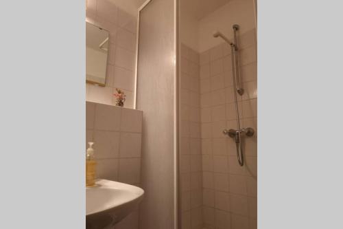 Appartement City center,near uni and train station Franz-Stockbauer-Weg 1. Passau