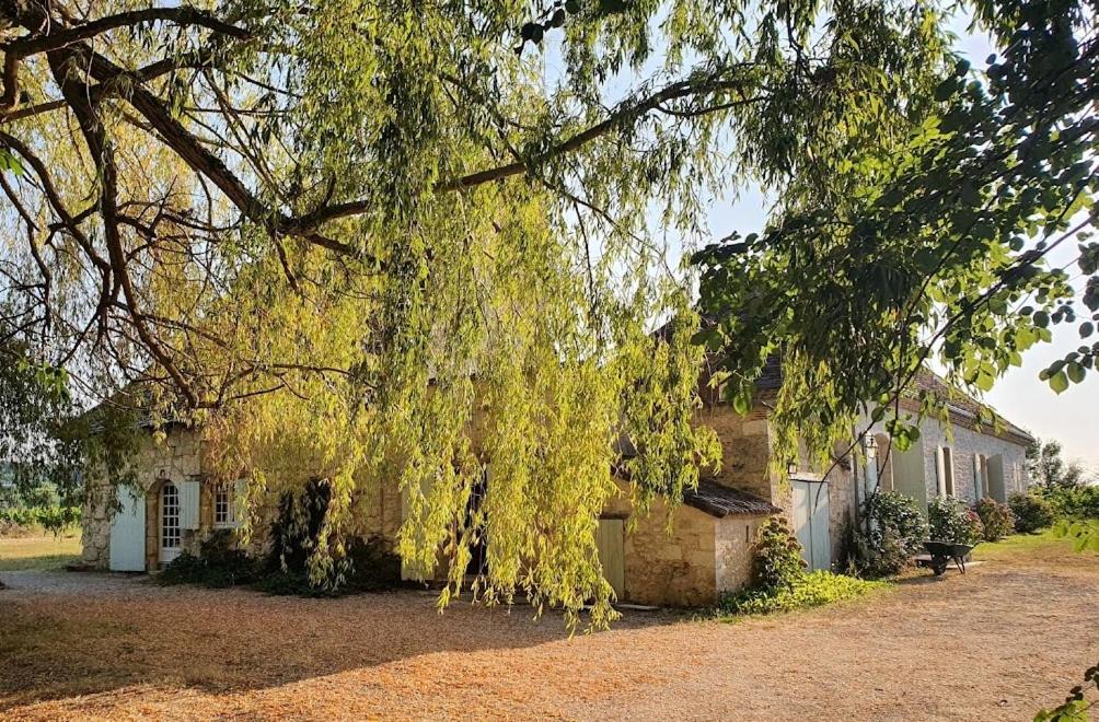 Maison d'hôtes Clair de Vigne La Brie Ouest, 24 chemin du Pâtissier, 24240 Monbazillac