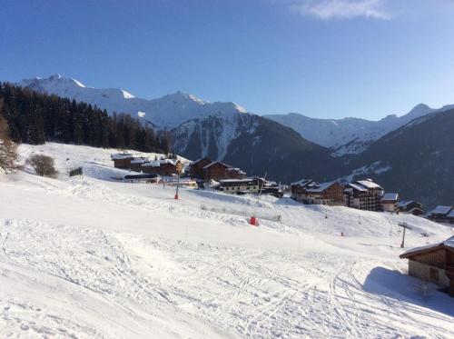 Clarines Peisey-Nancroix france