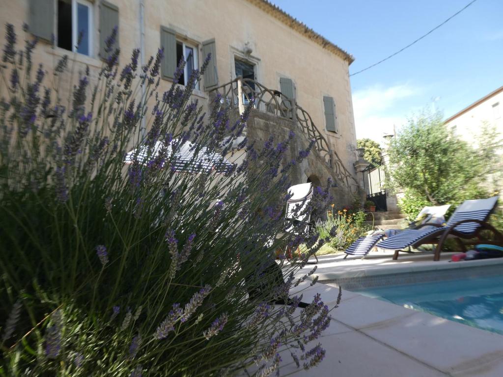 B&B / Chambre d'hôtes Clos du Magnolia 41 Ave Jean Jaures, 34490 Causses-et-Veyran