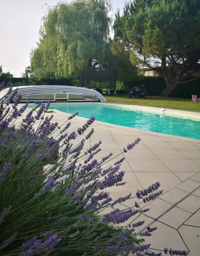 Maison d'hôtes Clos Ninastaret 17 Rue du Stade Gironde