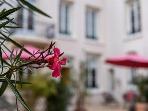 Clos Saint Martin Caen france