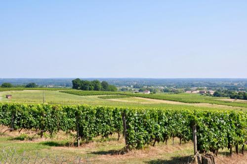 Maison de vacances CLOS SAINT SAUVEUR - guesthouse au coeur des vignes sur le coteau 8 RTE DE LA MAGDELAINE Saint-Pierre-dʼAurillac