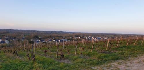 Clos sainte catherine Rochefort-sur-Loire france