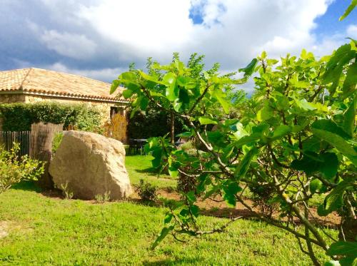 Séjour à la campagne Clos Simoni NIVALELLA Figari