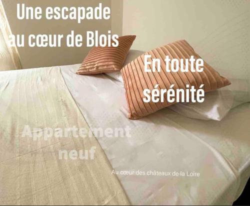 Appartement Coeur de Blois appartement neuf Appartement 01 2 Rue de l'Image Blois