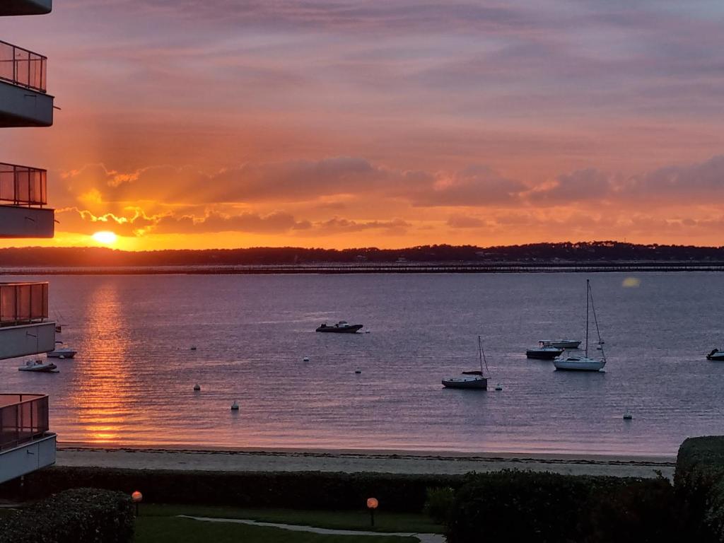 Appartement Coin de Paradis vue mer 75 Boulevard de l'Océan, 33120 Arcachon