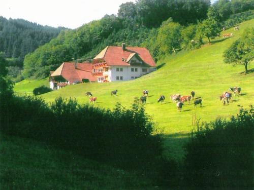Appartement Comfortable holiday home in a beautiful location  Hofstetten