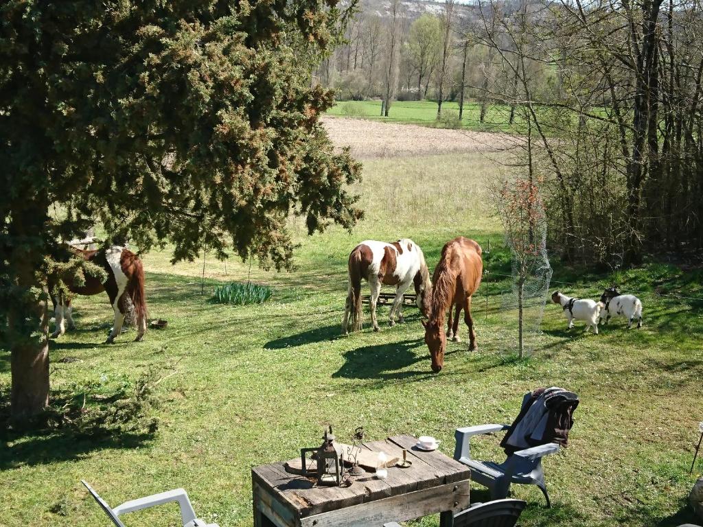 Maison de vacances Comfortable Quiet House in the countryside Porte-du-Quercy for 8 people Le Camp Grand, 46700 Sérignac