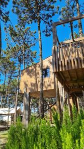 Bukubaki Eco Surf