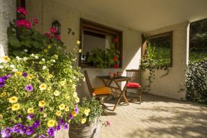 Haus 2 - Typ B (Blockhaus)