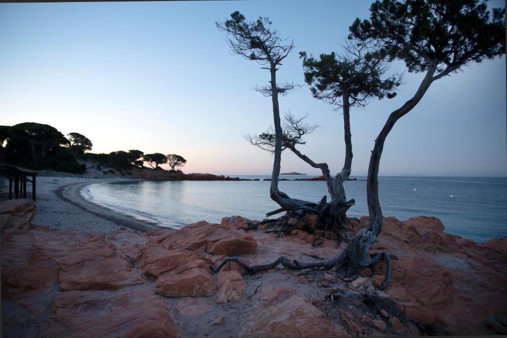 Résidence U LATONU - Palombaggia PALOMBAGGIA, 20137 Porto-Vecchio