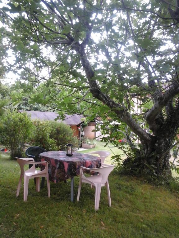 Villages Nature Paris at Disneyland® Paris 77700 Bailly-Romainvilliers