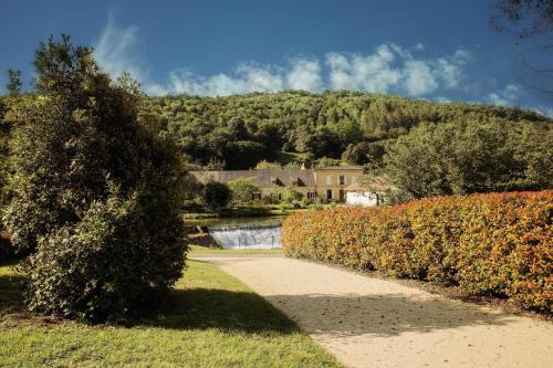Comtesse de Dordogne Les Eyzies-de-Tayac-Sireuil france