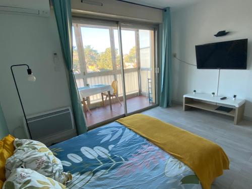 Coquet logement front de mer Cagnes-sur-Mer france