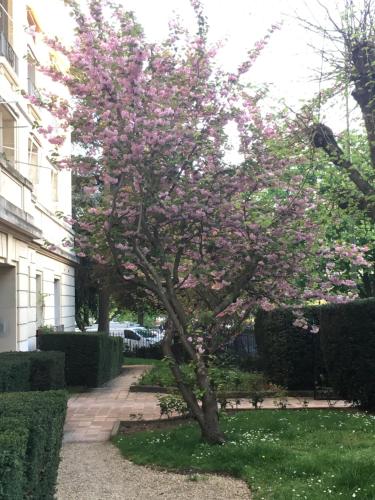 Appartement Coquet studio Porte d'Auteuil - très proche de Roland Garros - durée minimum 7 nuits - parking facile à proximité 53 avenue du Maréchal Lyautey Paris