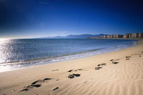 CORAIL Canet-en-Roussillon france