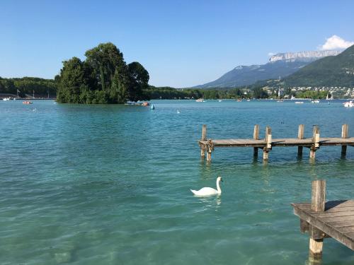 Appartement Cosy 15 Avenue du Tresum Annecy